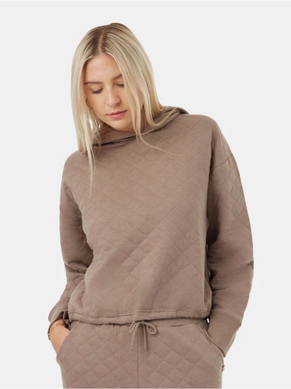 Tentree Quilted Relaxed Hoodie- Fossil